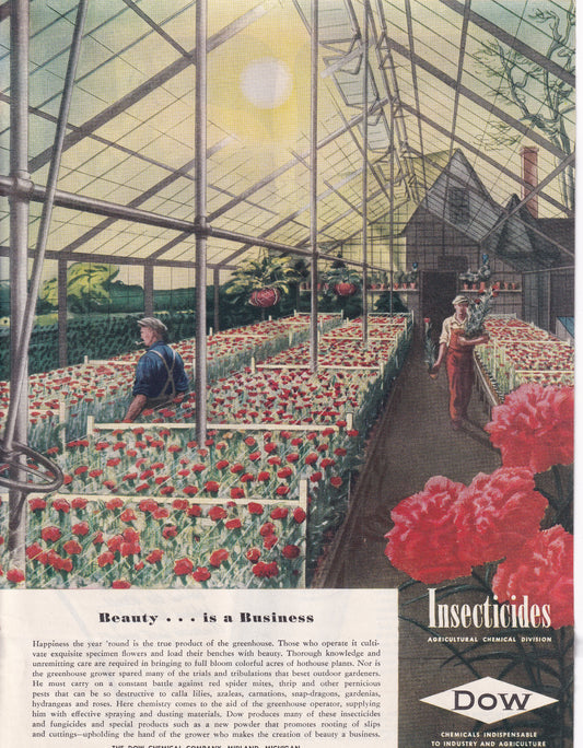 1946 Original Vintage Magazine Ad - Rare Americana - Dow Chemical Company Insecticides Green House Flowers