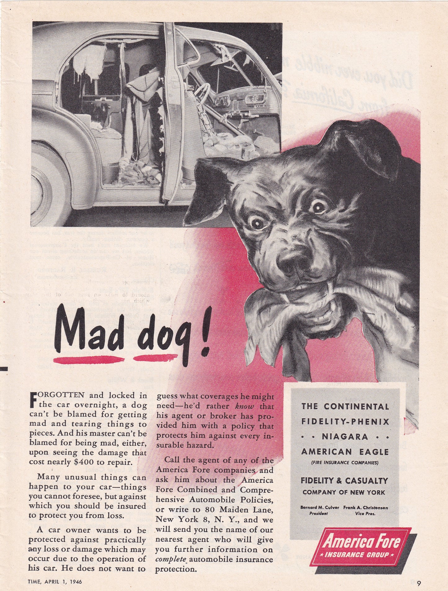 1946 Original Vintage Magazine Ad - Rare Americana - American Fare Insurance MAD DOG