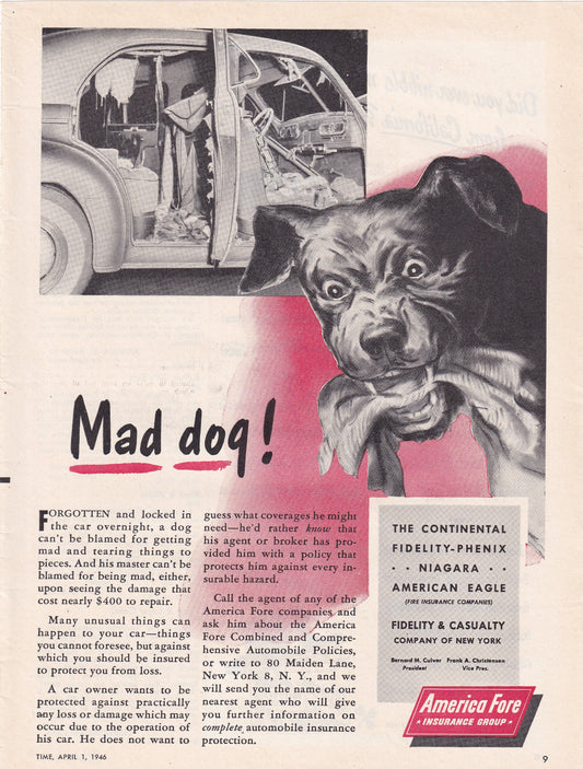 1946 Original Vintage Magazine Ad - Rare Americana - American Fare Insurance MAD DOG