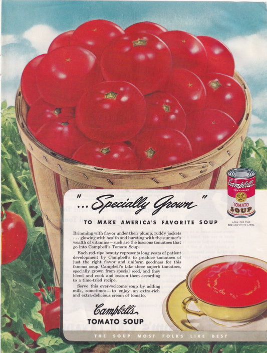 1946 Original Vintage Magazine Ad - Rare Americana - Campbell's Tomato Soup Bushel of Tomatos Specially Grown