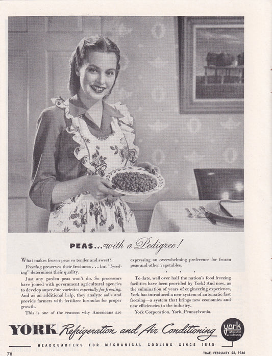 1946 Original Vintage Magazine Ad - Rare Americana - York Refrigerator and Air Conditioning Pretty Wife Making Supper