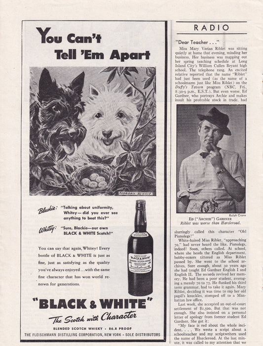 1946 Original Vintage Black & White Scotch Scottie Dogs Can't Tell Them Apart - Rare Americana