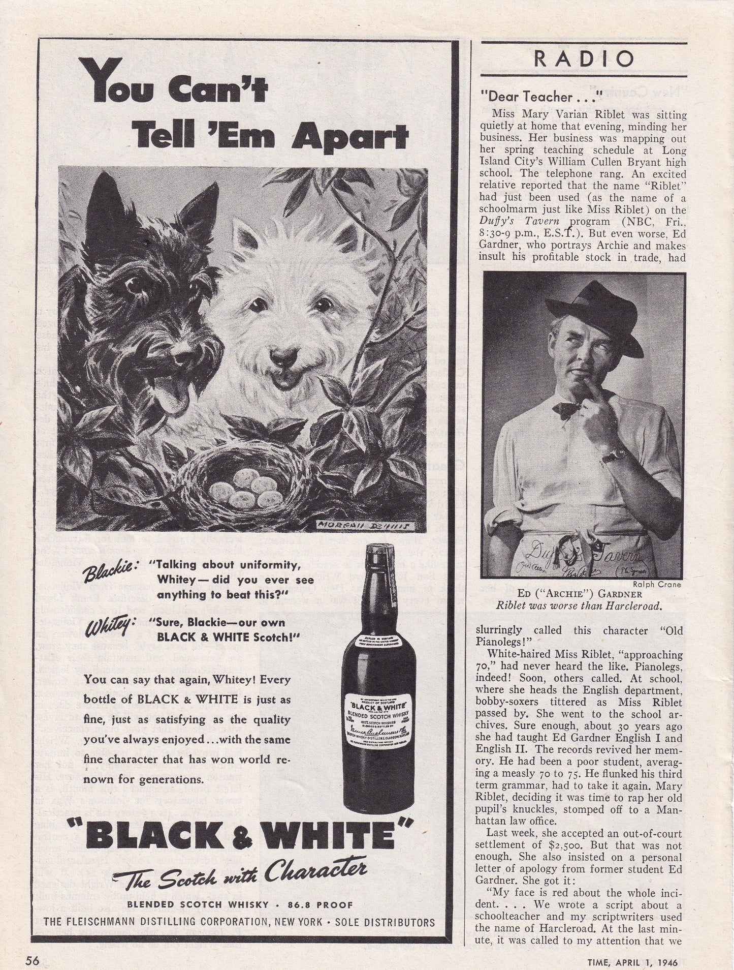 1946 Original Vintage Black & White Scotch Scottie Dogs Can't Tell Them Apart - Rare Americana