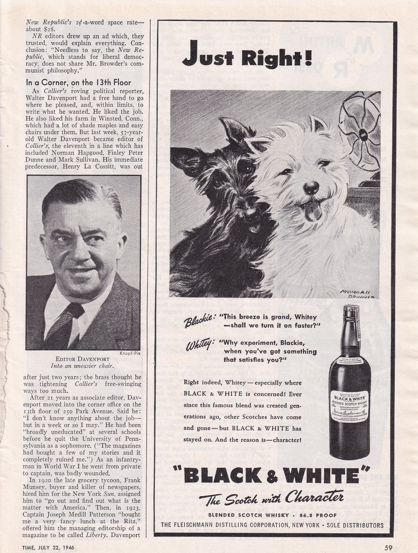 1946 Original Vintage Black & White Scotch Scottie Dogs Just Right - Rare Americana