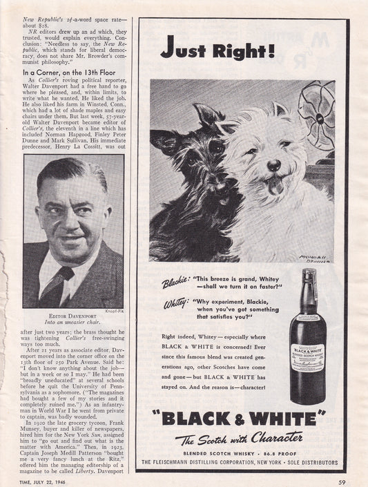 1946 Original Vintage Black & White Scotch Scottie Dogs Just Right - Rare Americana