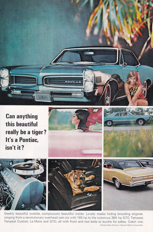 1966 Original Vintage Magazine Ad - Pontiac GTO - Tiger Pretty Girl