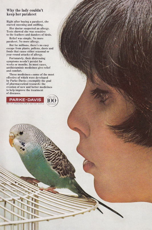 1966 Original Vintage Magazine Ad - Parke Davis Pharmaceutical - Pretty Woman with parakeet